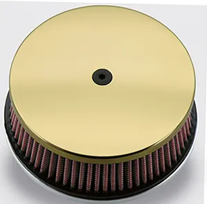 Zodiac (Genuine Zodiac Products) HP SERIES AIR CLEANERS
