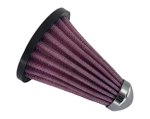 Zodiac (Maintenance Products) Voronoi HP Replacement Filter, Chrome