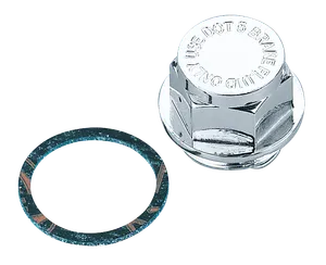Zodiac (Genuine Zodiac Products) MASTER CYLINDER CAP
