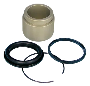 Zodiac (Genuine Zodiac Products) REBUILD KIT FOR 1986-1999 REAR BRAKE CALIPERS