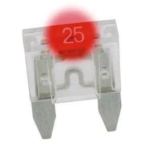 Zodiac (Genuine Zodiac Products) TELL-TALE BLADE TYPE MINI FUSES