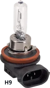 Zodiac (Genuine Zodiac Products) LOW AND HIGH BEAM HALOGEN BULBS