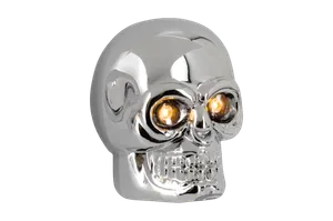 Zodiac (Genuine Zodiac Products) COBALT SKULL MARKER LIGHTS
