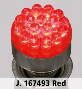 Zodiac (Genuine Zodiac Products) DESIGNER LED BULBS