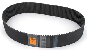 Rivera Primo REPLACEMENT BELTS FOR PRIMO BELT DRIVE KITS