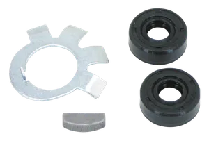 James Gaskets CLUTCH HUB NUT SEALING KIT