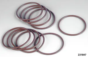 James Gaskets GASKETS, O-RINGS AND SEALS FOR PRIMARY ON 6-SPEED TWIN CAM 2006-2017