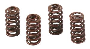 Andrews ANDREWS VALVE SPRING SETS