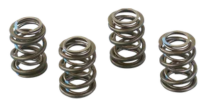 Andrews ANDREWS HIGH LIFT VALVE SPRINGS FOR SHOVELHEADS
