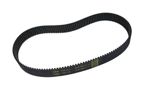 Rivera Primo REPLACEMENT BELTS FOR PRIMO BELT DRIVE KITS