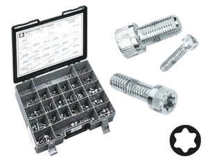 Midwest Acorn Nut Company CHROME PLATED TORX HEAD SCREWS ASSORTMENT