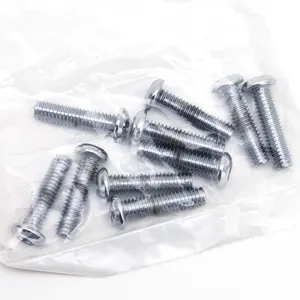 Midwest Acorn Nut Company CHROME PLATED SOCKET HEAD TORX SCREW ASSORTMENT