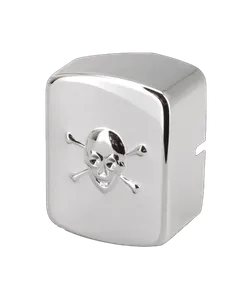 Zodiac (Genuine Zodiac Products) CHROME COIL COVERS