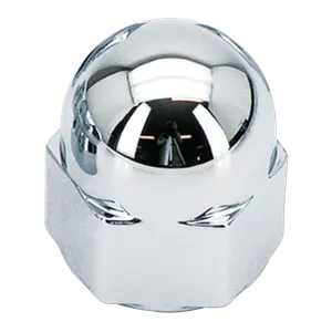 Zodiac (Genuine Zodiac Products) MAGNETIC HEAD BOLT COVERS