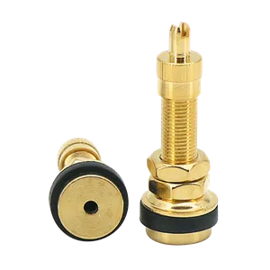 Zodiac (Genuine Zodiac Products) TUBELESS TIRE VALVES
