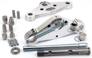 Zodiac (Made in Europe) TON PELS SIGNATURE "NAKED BUBBA" FRONT FORKS