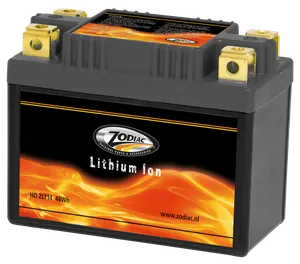 Zodiac (Genuine Zodiac Products) ZODIAC LITHIUM-ION BATTERIES