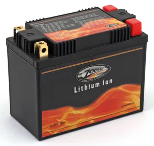 Zodiac (Genuine Zodiac Products) ZODIAC LITHIUM-ION BATTERIES