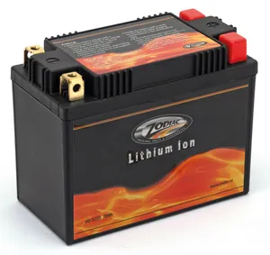 Zodiac (Genuine Zodiac Products) BATTERIES FOR VICTORY