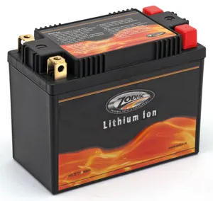 Zodiac (Genuine Zodiac Products) ZODIAC LITHIUM-ION BATTERIES