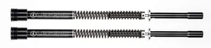 Legend Air Suspension LEGEND AIR AXEO CARTRIDGE TYPE FRONT SUSPENSION