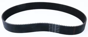 Belt Drives Ltd. BDL 2" Belt Drive Replacement Belt, 142T x 2" x 8mm