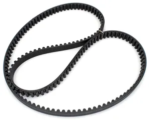 Zodiac (Genuine Zodiac Products) FINAL DRIVE BELTS