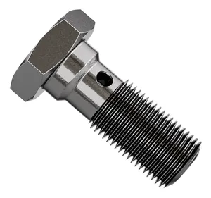 Goodridge Goodridge Long Banjo Bolt, 3/8", Stainless