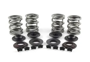 AV&V AV&V VALVE SPRING KITS