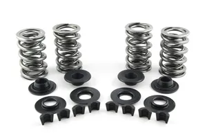 AV&V AV&V VALVE SPRING KITS