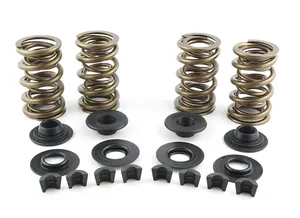 AV&V AV&V VALVE SPRING KITS