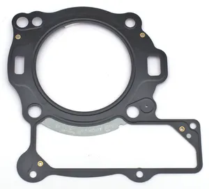 Zodiac (Genuine Zodiac Products) GASKET KITS, GASKETS, SEALS AND O-RINGS FOR V-ROD