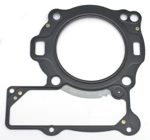 Zodiac (Genuine Zodiac Products) GASKET KITS, GASKETS, SEALS AND O-RINGS FOR V-ROD