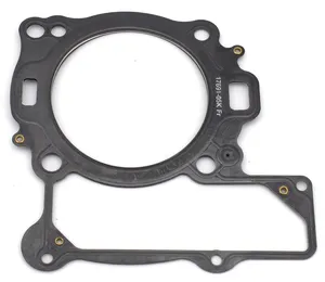 Zodiac (Genuine Zodiac Products) GASKET KITS, GASKETS, SEALS AND O-RINGS FOR V-ROD