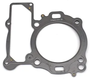 Zodiac (Genuine Zodiac Products) GASKET KITS, GASKETS, SEALS AND O-RINGS FOR V-ROD
