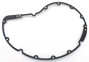 Zodiac (Genuine Zodiac Products) GASKET KITS, GASKETS, SEALS AND O-RINGS FOR V-ROD