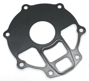 Zodiac (Genuine Zodiac Products) GASKET KITS, GASKETS, SEALS AND O-RINGS FOR V-ROD