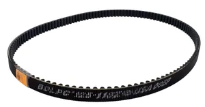 Belt Drives LTD FINAL DRIVE BELTS