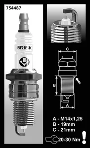 Brisk BRISK SPARK PLUGS