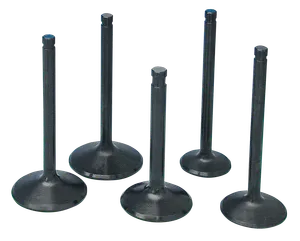 Kibblewhite "BLACK DIAMOND" HIGH PERFORMANCE STAINLESS STEEL VALVES BY PRECISION MACHINING