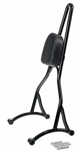 Zodiac (Genuine Zodiac Products) BOLT-ON TALL SISSY BARS WITH PAD