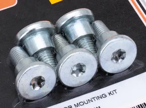 Colony BRAKE ROTOR SCREWS FOR V-ROD