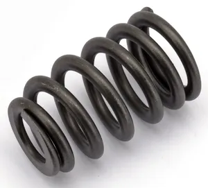 Zodiac (Genuine Zodiac Products) STOCK REPLACEMENT VALVE SPRING SETS