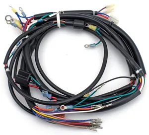 Eastern MC Parts WIRING HARNESSES