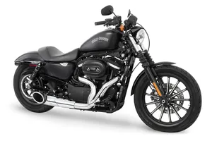 Freedom Performance Exhaust SHORTY 2-INTO-1