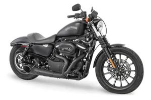 Freedom Performance Exhaust SHORTY 2-INTO-1