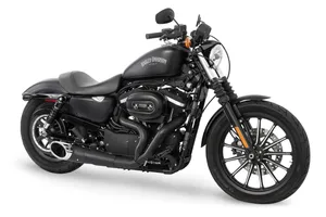 Freedom Performance Exhaust SHORTY 2-INTO-1