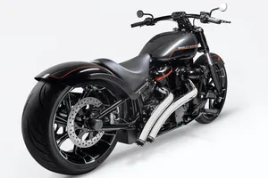 Freedom Performance Exhaust RADICAL RADIUS