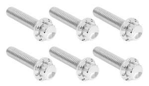 Arlen Ness TRANSMISSION SIDE COVER & TRAP DOOR TITANIUM 12-POINT BOLT KITS