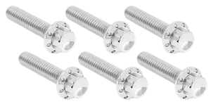 Arlen Ness TRANSMISSION SIDE COVER & TRAP DOOR TITANIUM 12-POINT BOLT KITS